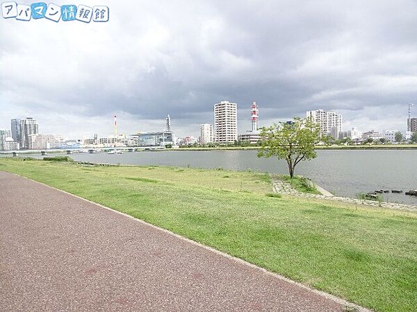 画像19:信濃川やすらぎ堤緑地 1038m