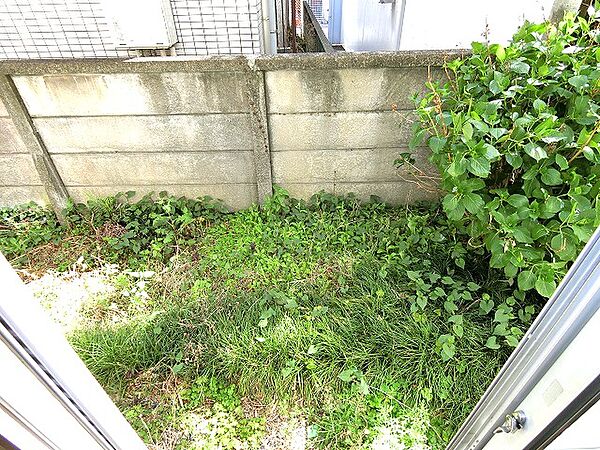 画像13:庭