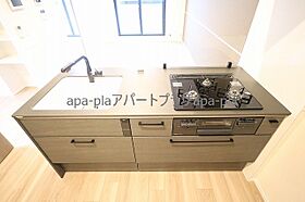 メゾンブリアン川越 203号室 ｜ 埼玉県川越市仙波町１丁目（賃貸マンション2LDK・2階・53.84㎡） その5