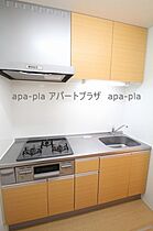 アミティエII 102号室 ｜ 埼玉県川越市豊田町２丁目（賃貸アパート2LDK・1階・53.08㎡） その5