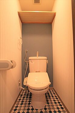 一棟マンション-札幌市中央区南七条西１７丁目 210号室：トイレ