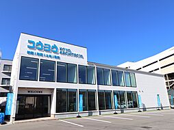 KOYO ARCHITECTSの住宅イベント「平屋の家づくり相談会 in 松山本店ショールーム」の開催場所 KOYO松山本店ショールームの画像