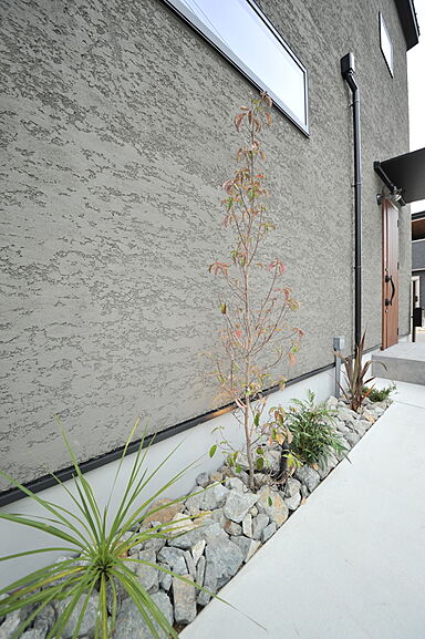 株式会社エスクリエイトの施工事例「貝塚市 窓の配置デザインを取り入れた家」の画像6