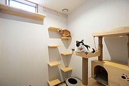 タマホーム株式会社 いわき営業所の施工事例「家族とともに猫も過ごす木の家」の画像