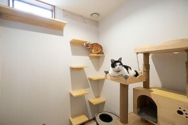 有限会社藤見工務店の施工事例「家族とともに猫も過ごす木の家」の画像