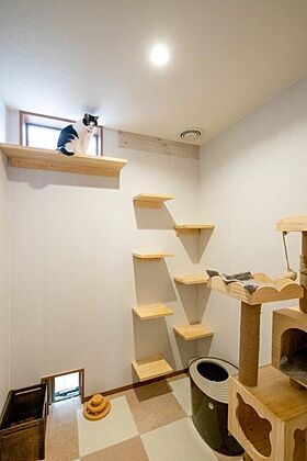 有限会社藤見工務店の施工事例「家族とともに猫も過ごす木の家」の画像1