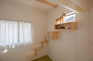 有限会社藤見工務店の施工事例「愛猫と暮らす家」の画像