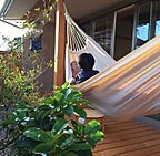 木の家スタイルのリビング 株式会社タマゴグミ 一級建築士事務所の事例画像