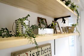 内藤ホームの施工事例「ナチュラルホーム 耐震住宅テクノストラクチャー」の画像1