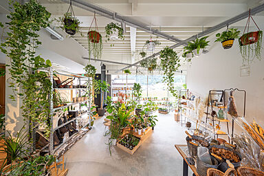 SAWAMURA建築設計 高島スタジオの施工事例「植物も心地よいお店【滋賀県高島市】」の画像1
