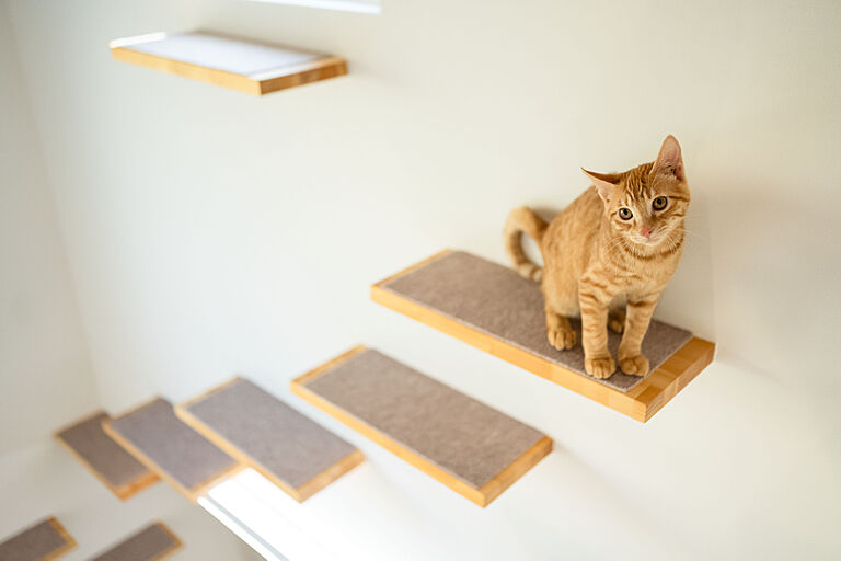 KOYO ARCHITECTSの公式画像_その他8