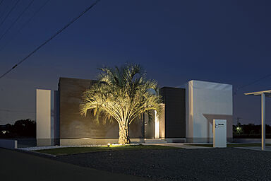 株式会社Style Designの施工事例「『ココスヤシ』のある南国系デザイン住宅」の画像