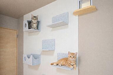 建築工房sakuraの施工事例「猫と暮らす二世帯住宅」の画像3