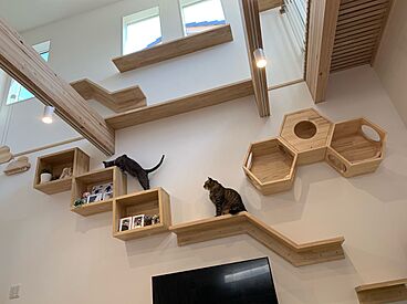 山根木材 【長期優良住宅・耐震等級3・ZEH】を標準採用の施工事例「人と犬と猫とが共存し快適に暮らす家」の画像