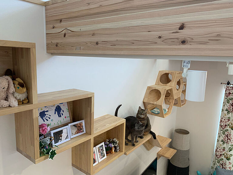 山根木材 【長期優良住宅・耐震等級3・ZEH】を標準採用の公式画像_その他4