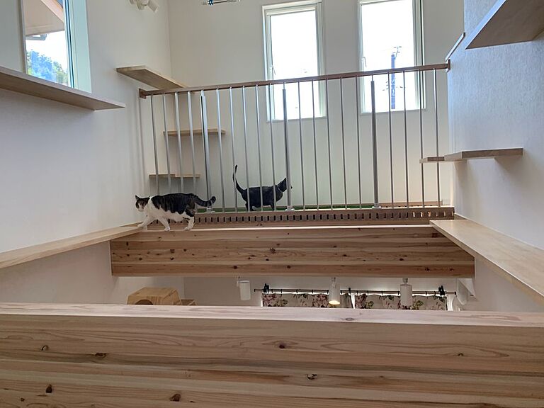 山根木材 【長期優良住宅・耐震等級3・ZEH】を標準採用の公式画像_その他6