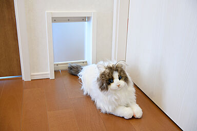 株式会社三建(Sus∞Eco Home-サスエコホーム-)の施工事例「ペットと住める平屋の家」の画像4