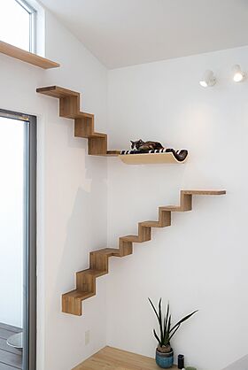 伊大建設株式会社の施工事例「空の下、ネコと暮らす家」の画像7