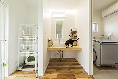 DIグループ DI Homeの施工事例「【大田原市】想い出の島をイメージした青×白。家族と愛猫と一緒に暮らす家」の画像5