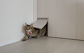 株式会社土屋ホームの施工事例「【札幌市/25.99坪/バリアフリー】長く快適に暮らせるバリアフリーの平屋住宅」の画像3