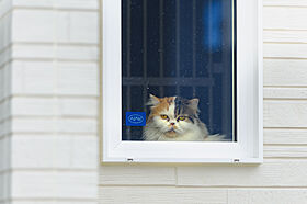 アトラスハウス株式会社の施工事例「猫とハッピーに暮らす三角屋根のお家」の画像2