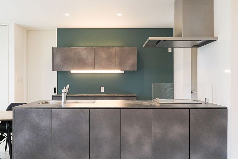 ヘルシーホームの公式画像_キッチン4