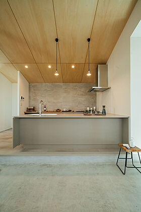 チェックハウス+長野東信(池田建設)【佐久平スタジオ】の施工事例「ドマとニワでつながる平屋」の画像3