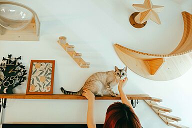 株式会社アリストの施工事例「狭小地に建てたかわいい猫の家」の画像4