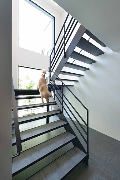 wonder HAUS 川越ハウジングギャラリー店の施工事例「愛犬と暮らすお家」の画像5