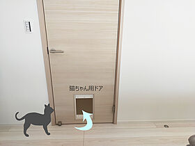 ふくふくほ~む デザインハウス久留米福岡の施工事例「猫も喜ぶ平屋」の画像7