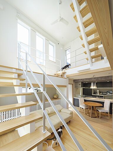 小嶋工務店 TOKYO WOOD - 小金井展示場の施工事例「まるで巨大なキャットタワー 完全自由設計ならではの、遊び心ある住まい」の画像