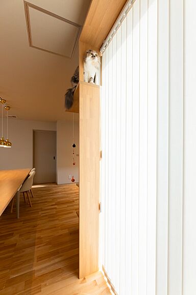 HOLIDAYS(ホリデイズ)【高気密高断熱の家づくり】の施工事例「猫ちゃんと過ごすくつろぎの住まい」の画像4