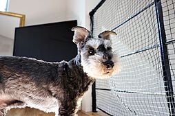 SUNRISE-arc株式会社~“デザイン性”と“機能性”を高水準で両立する理想の住宅~の施工事例「【個のスペースを有しながら交流を育む家】」の画像