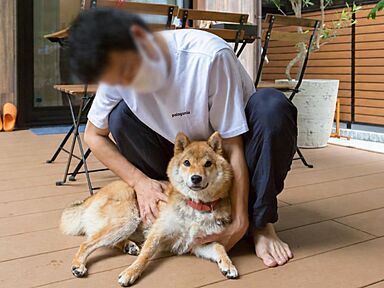 株式会社中村工務店の施工事例「ボルダリングと雲梯、愛犬と楽しむ家」の画像3