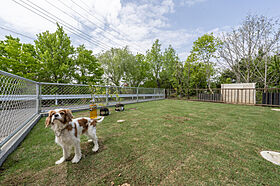 ブリリアントホーム 横浜ハウジングフォーラムの施工事例「ワクワク&ゴロゴロ~2人の個性が融合した理想のお家」の画像1