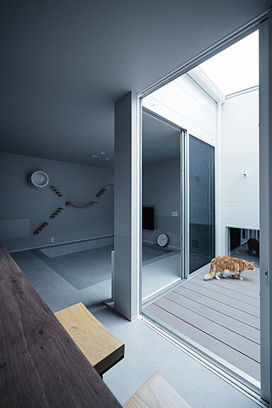 シンプルノート 岡山北・倉敷スタジオの施工事例「玉野市|二匹の愛猫と過ごす、キャットウォークのある平屋」の画像3