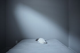 シンプルノート 岡山北・倉敷スタジオの施工事例「玉野市|二匹の愛猫と過ごす、キャットウォークのある平屋」の画像6