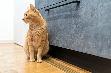 株式会社タカカツホームズ 高勝の家 古川店の施工事例「【古川店】プライバシーと生活動線が確保された二世帯住宅」の画像5