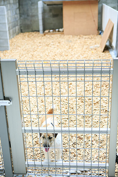 Home Direction Studio78の施工事例「奥様にうれしい楽々家事動線の遊び心満載の家」の画像8