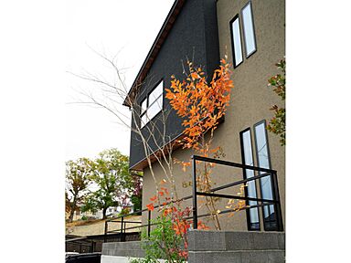 マルマインハウス(株式会社マルヤマ)の施工事例「大家族が心地よく暮らす、立体的なLDKと自然を取り込む家。」の画像5