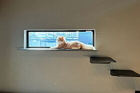 WITHDOM建築設計 鹿児島スタジオの施工事例「【31坪×平屋】ブラックで統一されたアソビゴコロのある平屋」の画像2