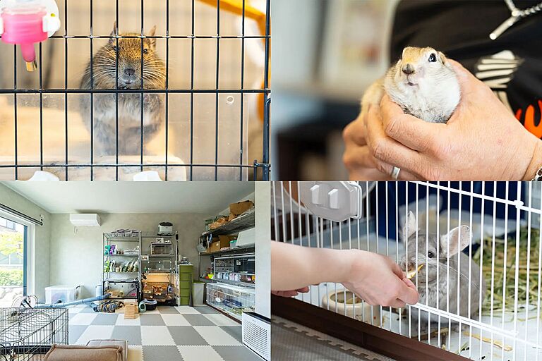 株式会社秀光ビルド 岐阜店の公式画像_洋室11