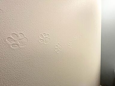 株式会社平正工務店の施工事例「春日部市S様邸 わんちゃんたちの青いおうち」の画像4