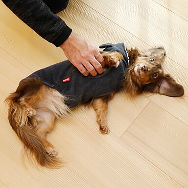 株式会社グリーンワールドの施工事例「愛犬と暮らすガレージのある住まい」の画像6