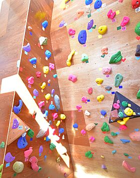 丸和建設株式会社の施工事例「【鹿児島県 平屋】34.88坪 ボルダリング専用ルームがある家」の画像5