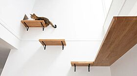 【AQURA HOME PLAZA仙台店】の施工事例「ひとも猫も快適な動線。デザイン性と遊び心を両立した住まい」の画像1