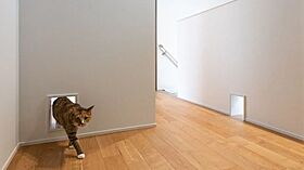 【AQURA HOME PLAZA仙台店】の施工事例「ひとも猫も快適な動線。デザイン性と遊び心を両立した住まい」の画像2