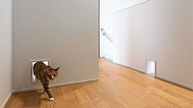 【AQURA HOME PLAZA仙台店】の施工事例「ひとも猫も快適な動線。デザイン性と遊び心を両立した住まい」の画像2