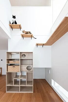 【AQURA HOME PLAZA仙台店】の施工事例「ひとも猫も快適な動線。デザイン性と遊び心を両立した住まい」の画像8