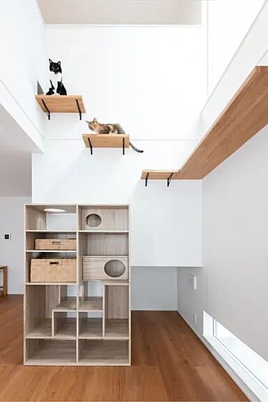 【AQURA HOME PLAZA仙台店】の施工事例「ひとも猫も快適な動線。デザイン性と遊び心を両立した住まい」の画像8